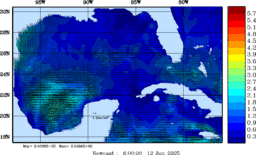 wstr_20250612_0600.gif