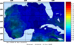 wstr_20250612_1200.gif