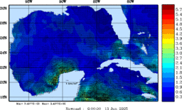 wstr_20250613_0000.gif