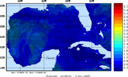 wstr_20250609_1200.gif