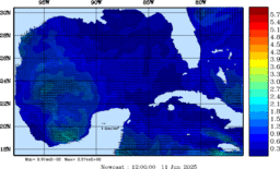 wstr_20250611_1200.gif
