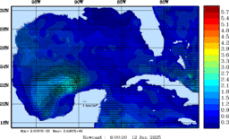 wstr_20250612_0600.gif