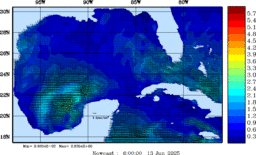 wstr_20250613_0600.gif