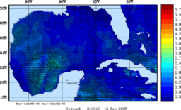 wstr_20250613_0600.gif