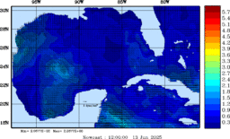 wstr_20250613_1200.gif