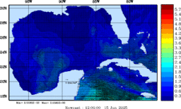 wstr_20250615_1200.gif