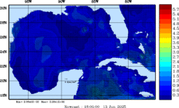 wstr_20250613_1800.gif