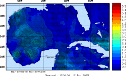 wstr_20250612_1200.gif