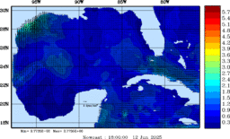 wstr_20250612_1800.gif