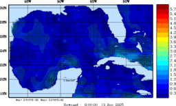 wstr_20250613_0000.gif