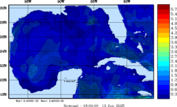 wstr_20250613_1800.gif