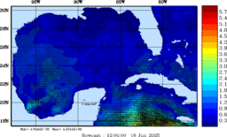 wstr_20250616_1200.gif