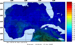 wstr_20250617_1200.gif