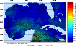wstr_20250618_0600.gif
