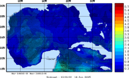 wstr_20250618_1200.gif