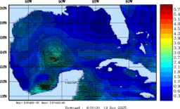 wstr_20250619_0600.gif