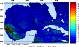 wstr_20250621_1200.gif
