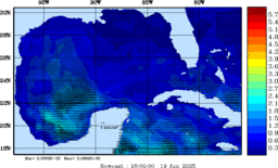 wstr_20250619_1800.gif