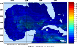 wstr_20250625_1800.gif