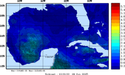 wstr_20250628_1200.gif