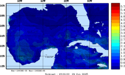 wstr_20250629_1800.gif