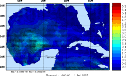 wstr_20250701_0600.gif