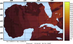 rad_20250729_1200.gif