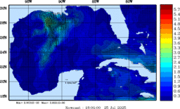 wstr_20250725_1800.gif