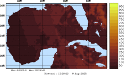 rad_20250809_1200.gif