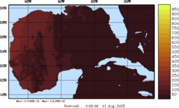 rad_20250811_0000.gif