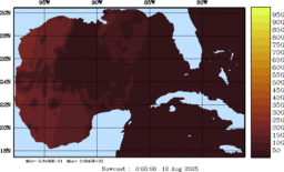 rad_20250812_0000.gif