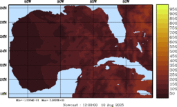 rad_20250810_1200.gif