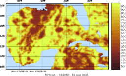 rad_20250812_1800.gif