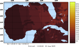 rad_20250822_1200.gif