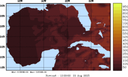 rad_20250821_1200.gif