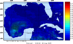 wstr_20250826_0600.gif