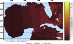 rad_20250829_1200.gif