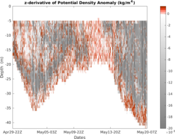 mote-holly_section_5DZ.png