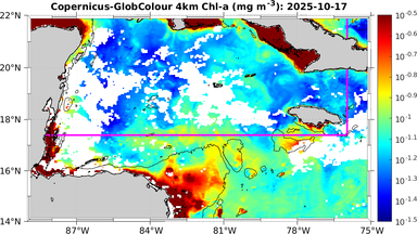 ssc_20251017T0000_caribbean.png