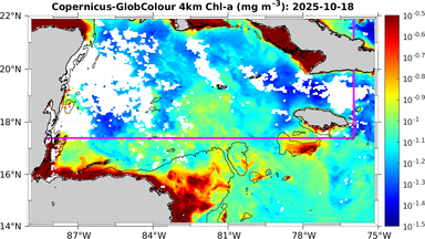 ssc_20251018T0000_caribbean.png