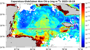 ssc_20251019T0000_caribbean.png