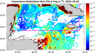 ssc_20251022T0000_caribbean.png