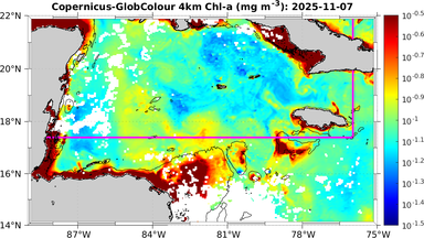 ssc_20251107T0000_caribbean.png