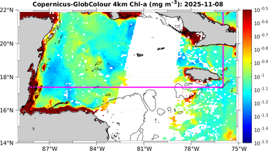 ssc_20251108T0000_caribbean.png