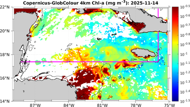 ssc_20251114T0000_caribbean.png