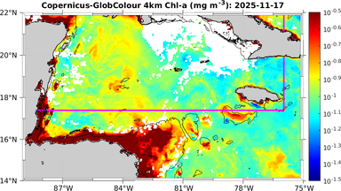 ssc_20251117T0000_caribbean.png