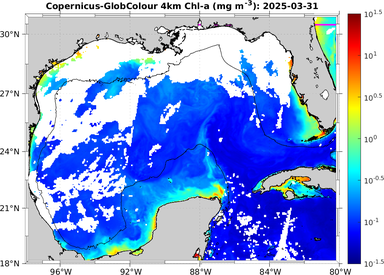ssc_20250331T0000_full.png