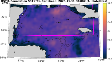 SST_20251111T0000Z_carib.png
