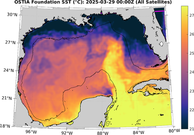 SST_20250329T0000Z.png