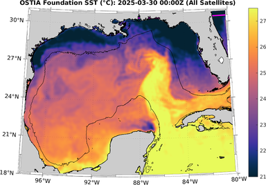 SST_20250330T0000Z.png